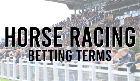 betting process|pony in betting terms.